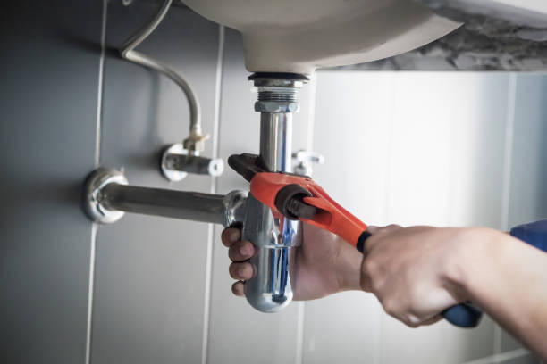 Best Affordable Plumbing Services  in Pepeekeo, HI